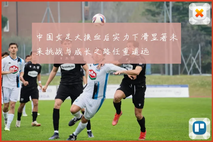 中国女足大换血后实力下滑显著未来挑战与成长之路任重道远